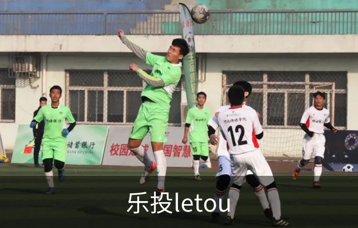 乐投letou简介